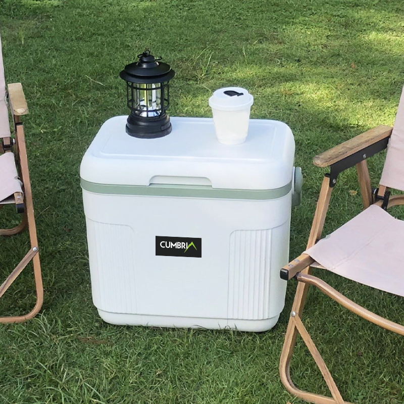 22L Cooler Box - Image 7