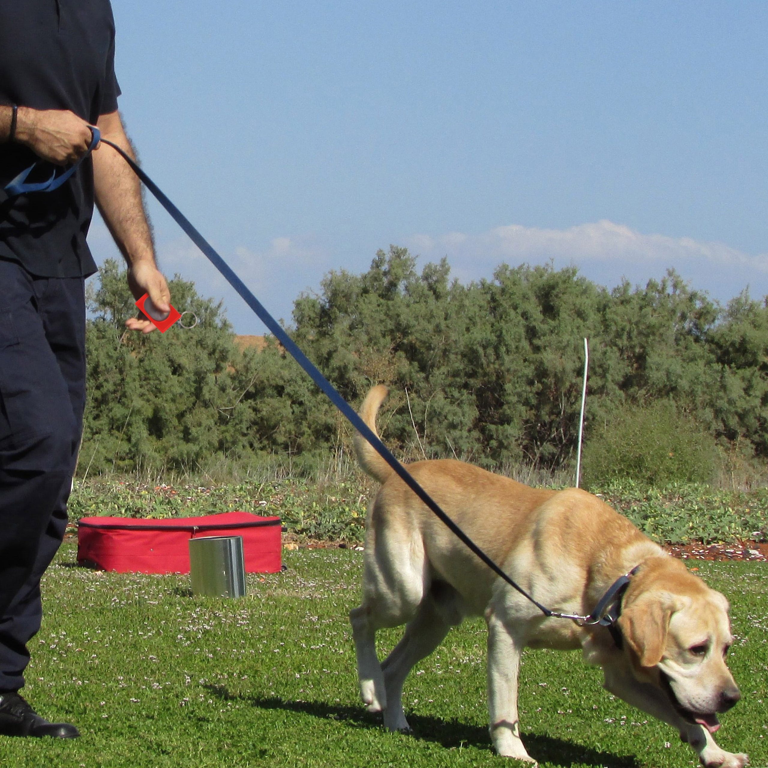 Pet Training Clicker - Image 8