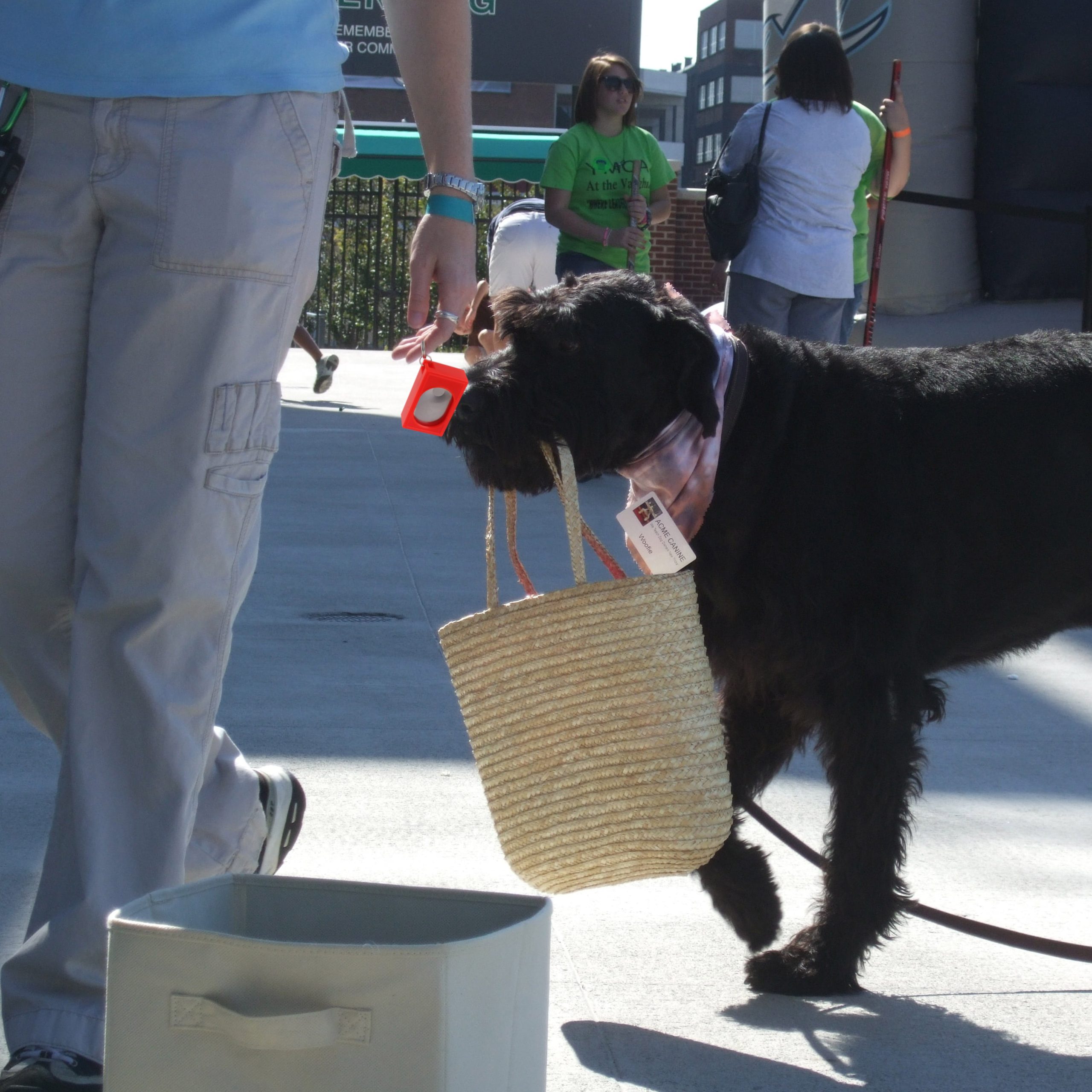 Pet Training Clicker - Image 7