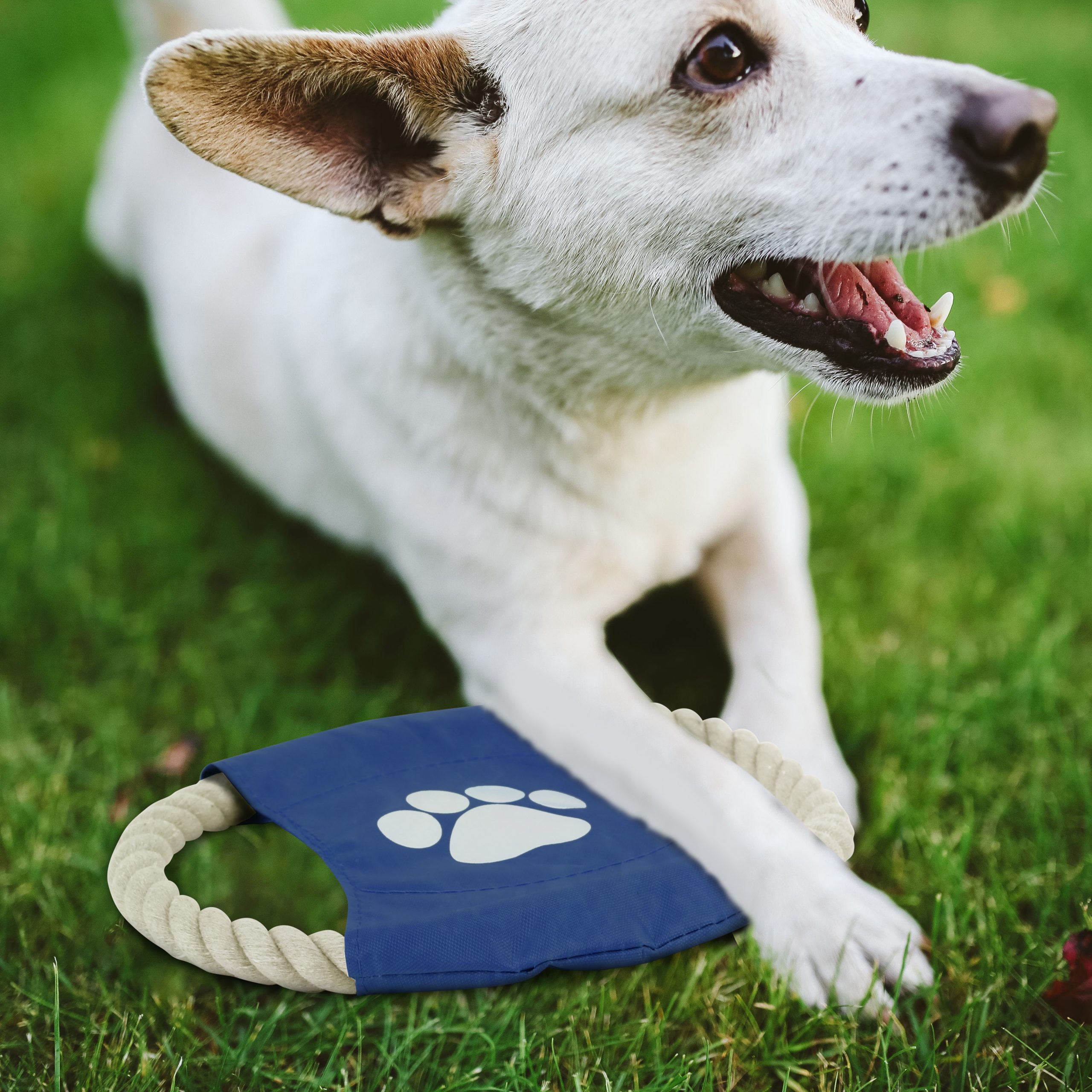 Rope Frisbee Dog Toy - Image 6
