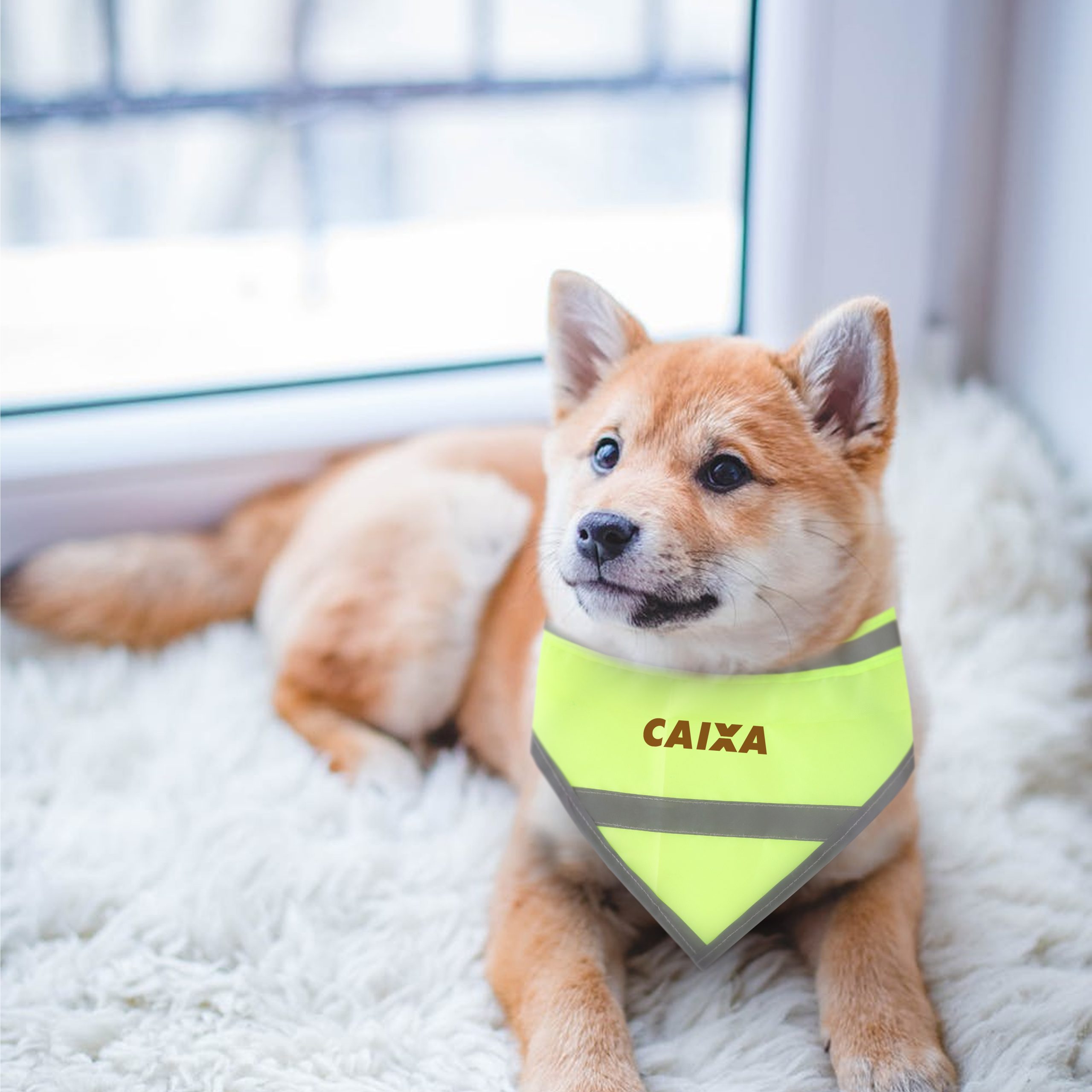 Reflective Dog Bandana - Image 4