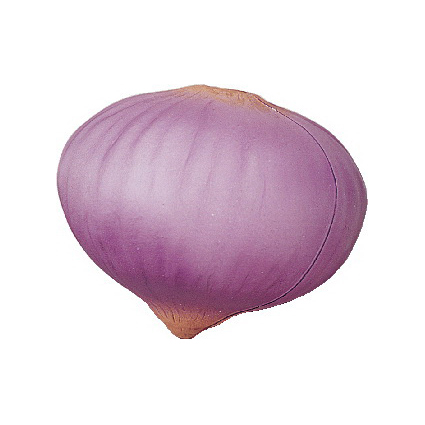 Onion Shape Stress Reliever - Image 6