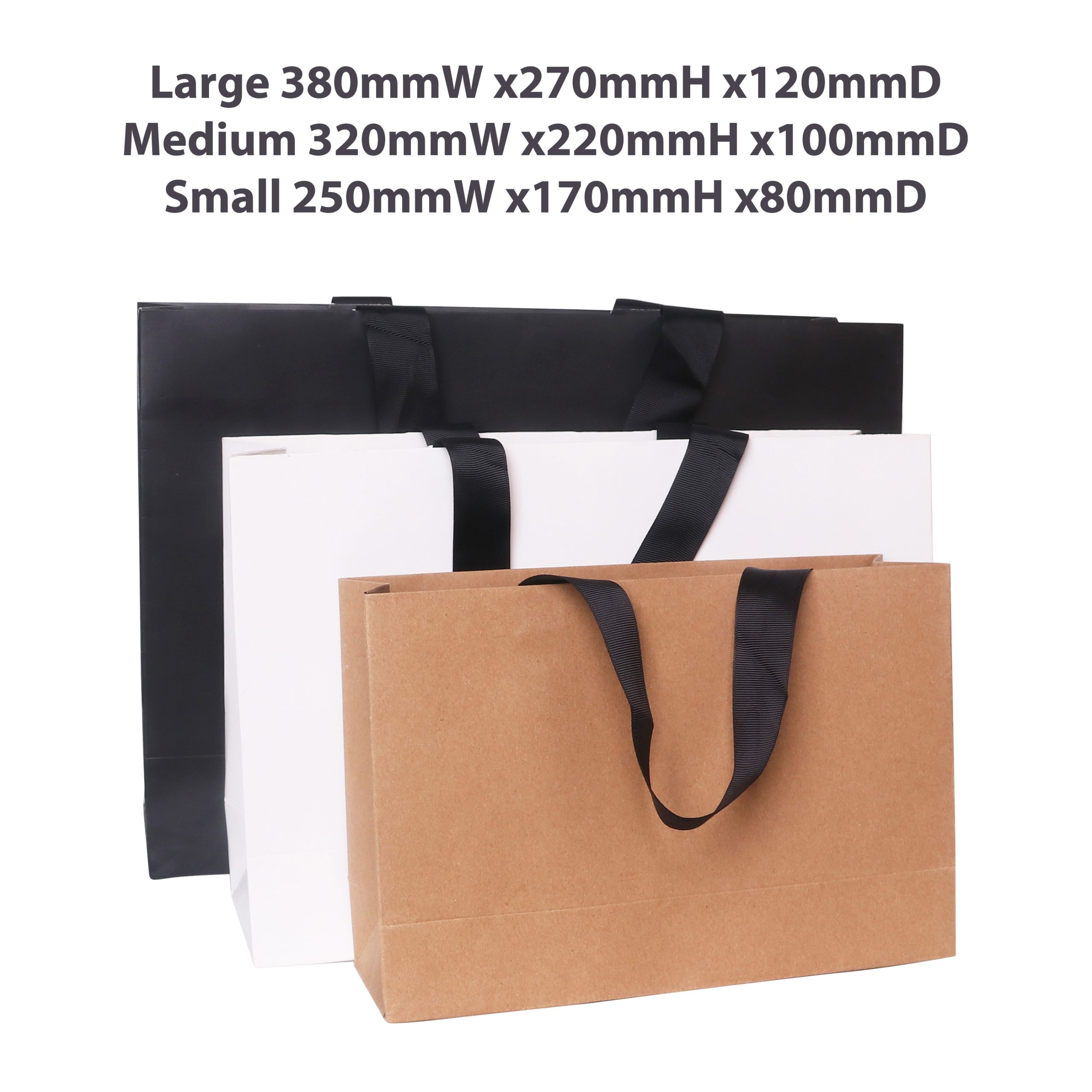 Medium Paper Bag with Flat Handle(320 x 220 x 100mm) - Image 8