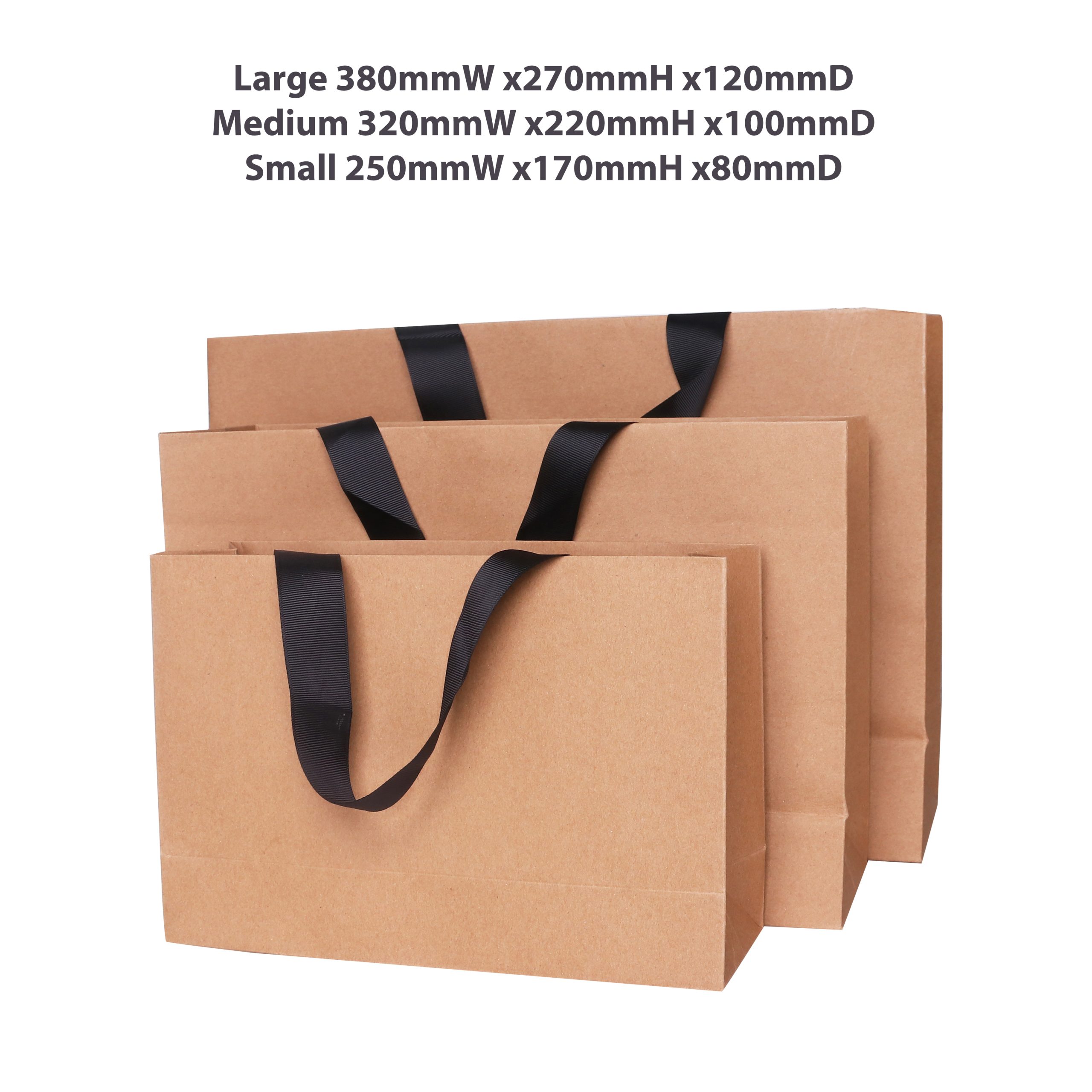 Large Paper Bag with Flat Handle(380 x 270 x 120mm) - Image 8