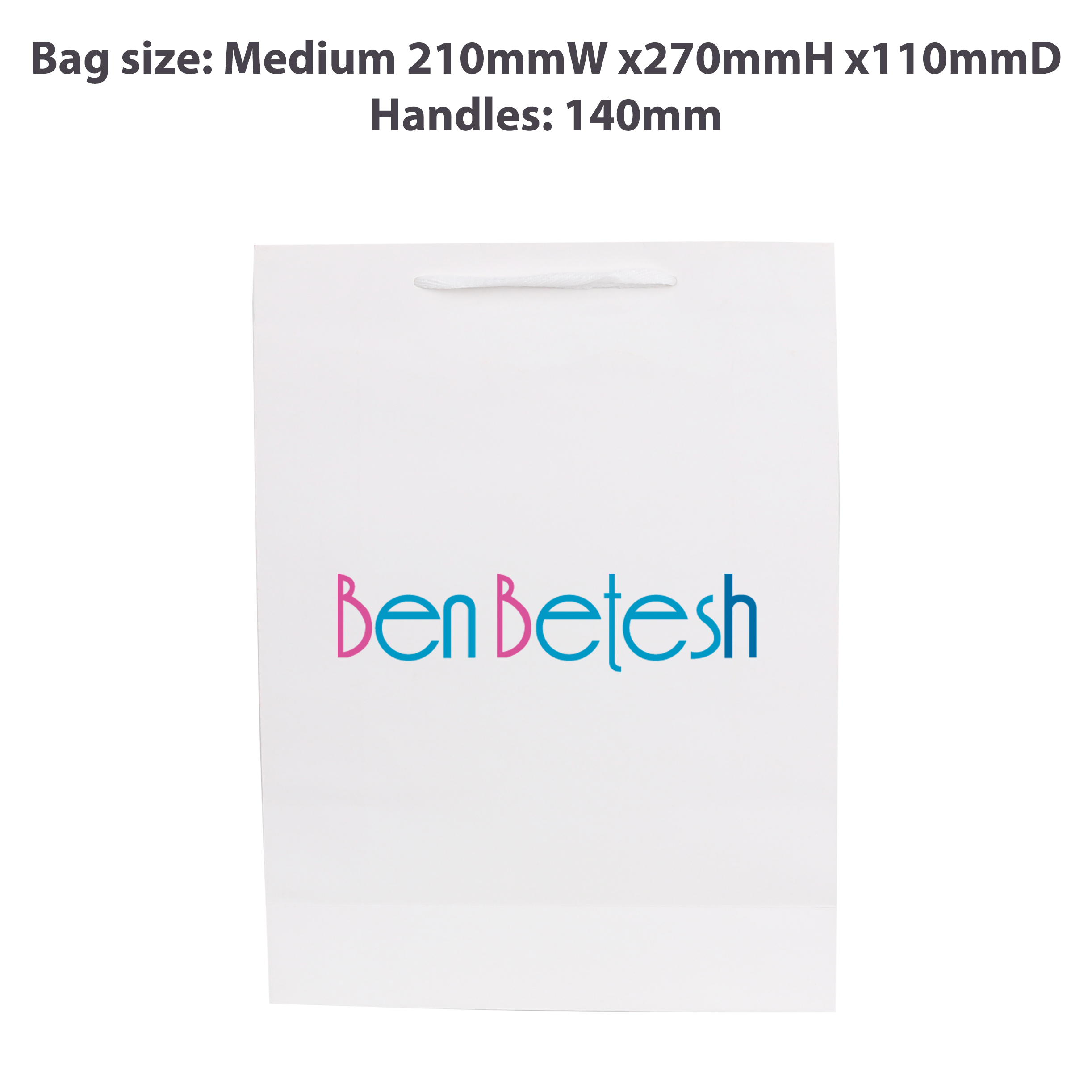 Medium Vertical Paper Bag with Fabric Flat Handle(210 x 270 x 110mm) - Image 3