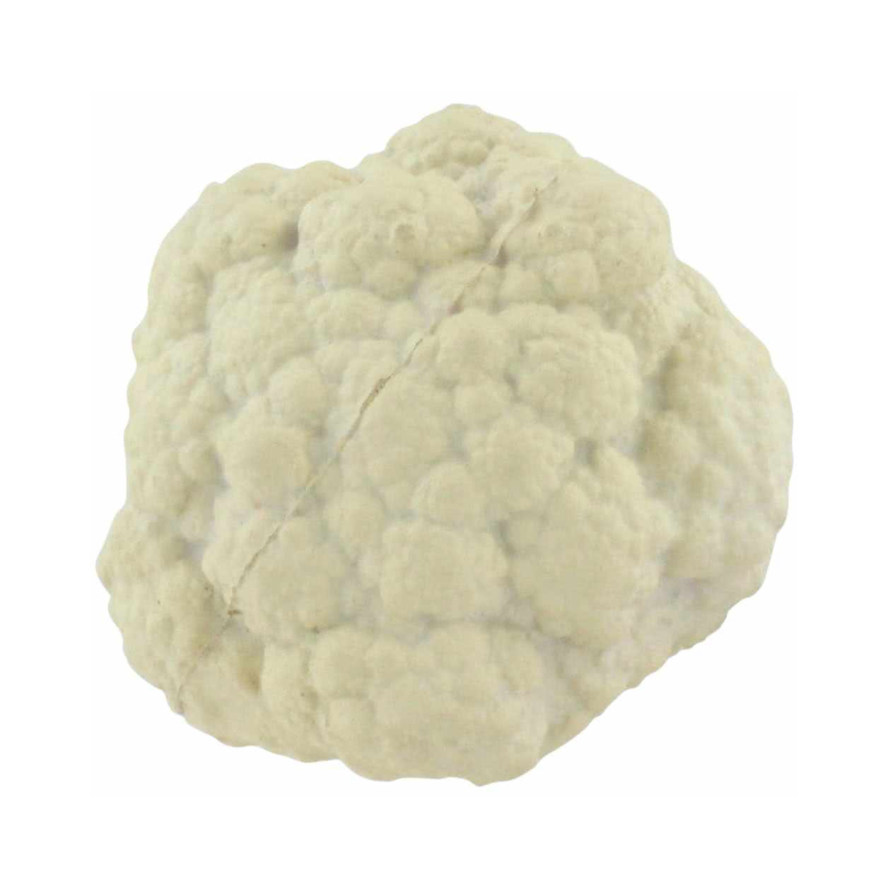 Cauliflower Shape Stress Reliever - Image 8