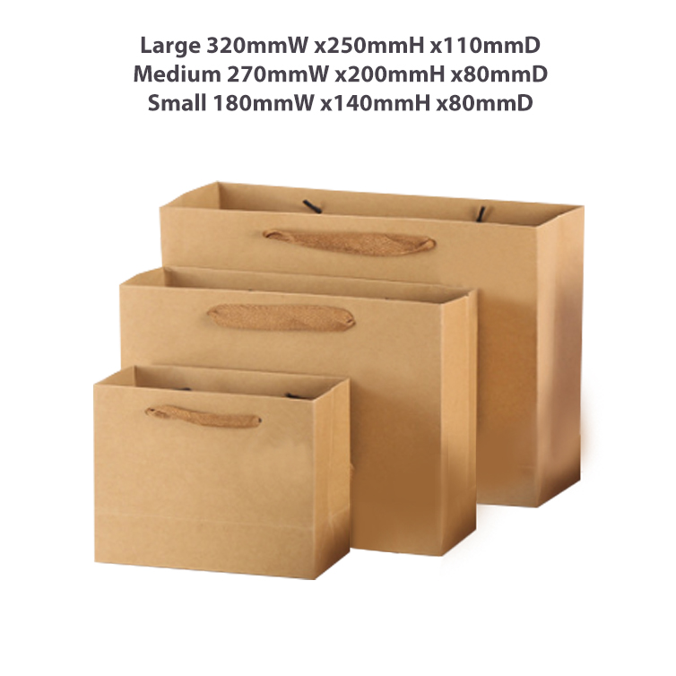 Medium Crosswise Paper Bag with Fabric Flat Handle(270 x 200 x 80mm) - Image 9