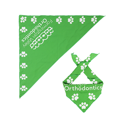 Triangle Pet Bandana - Image 3