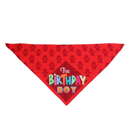 Triangle Pet Bandana - Image 5
