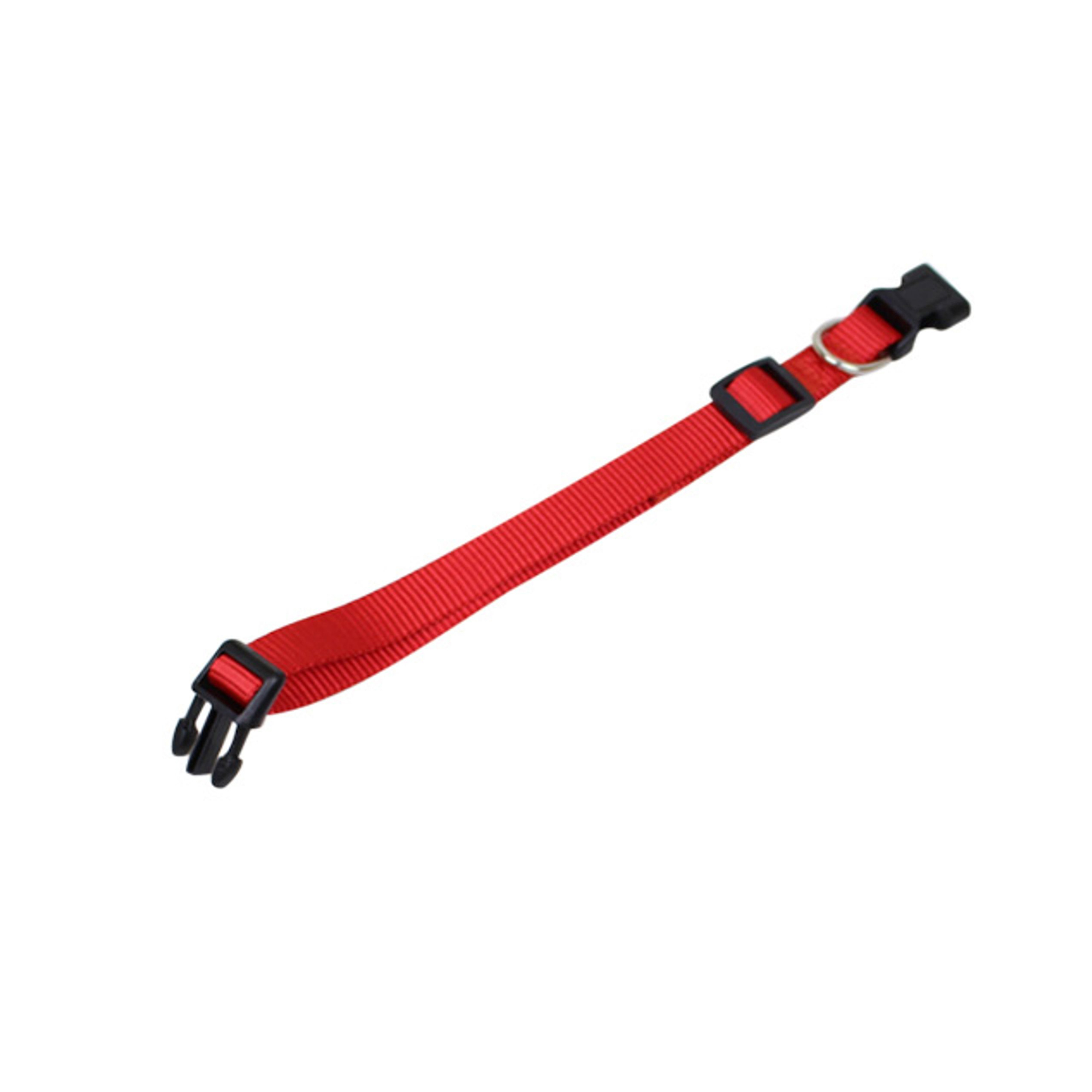 Dog Collar - Image 5