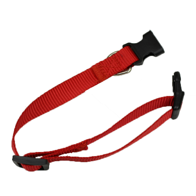 Dog Collar - Image 7