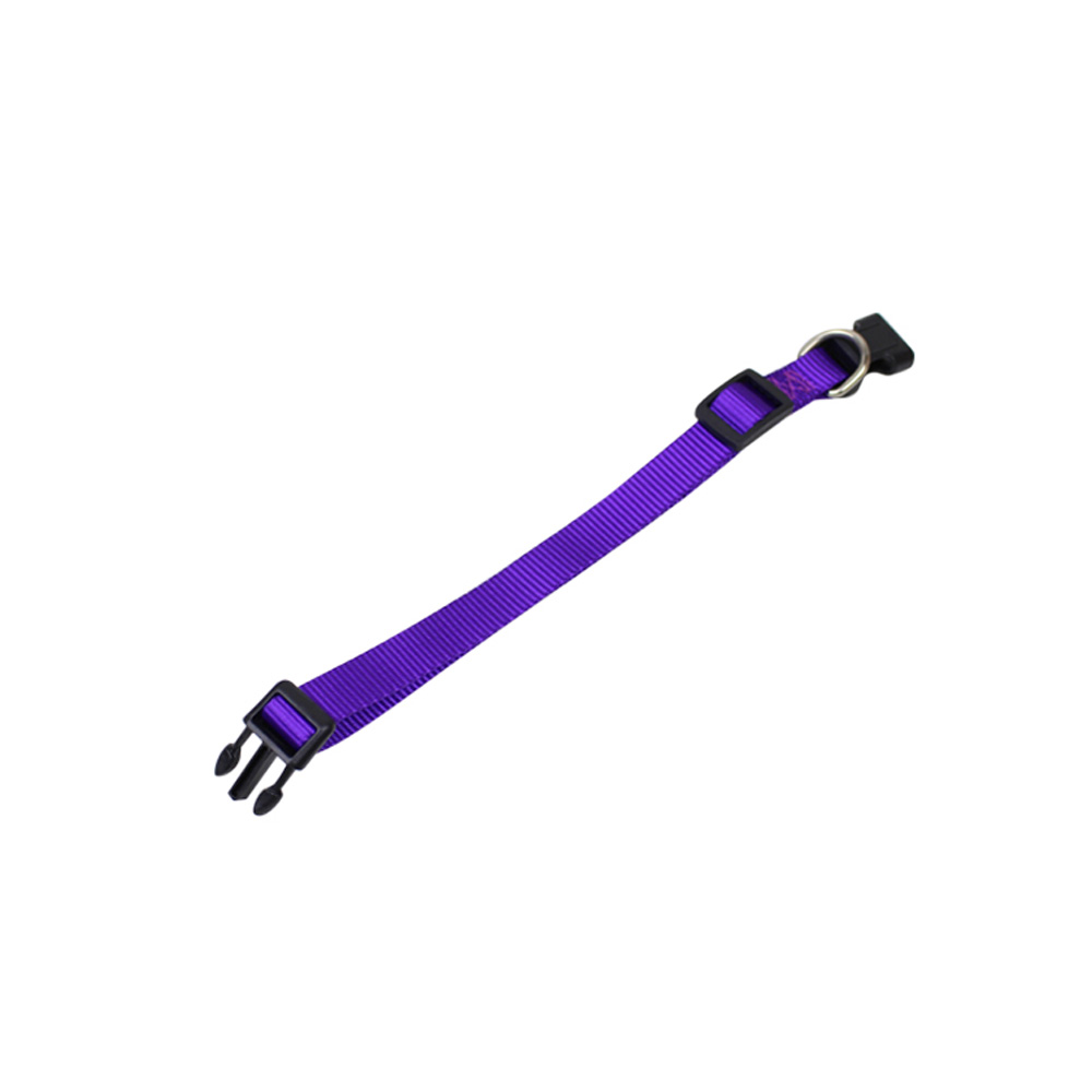 Dog Collar - Image 4
