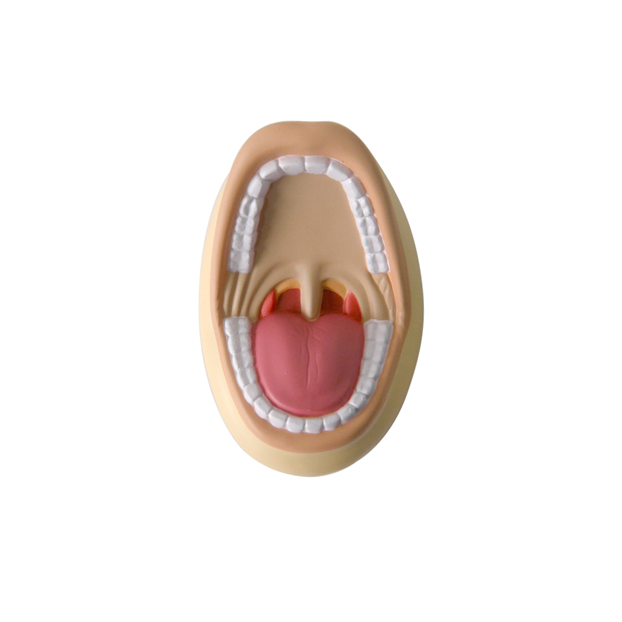 Mouth Shape Stress Reliever - Image 2