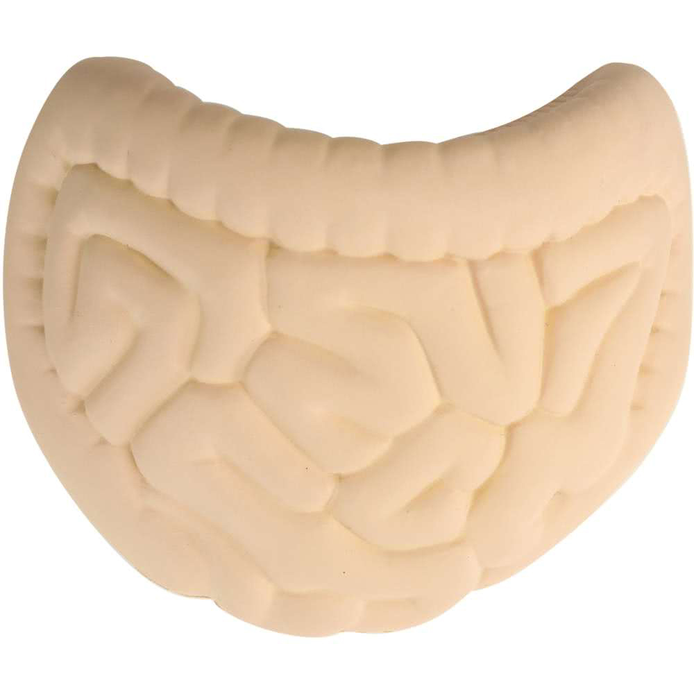 Intestines Shape Stress Reliever - Image 7