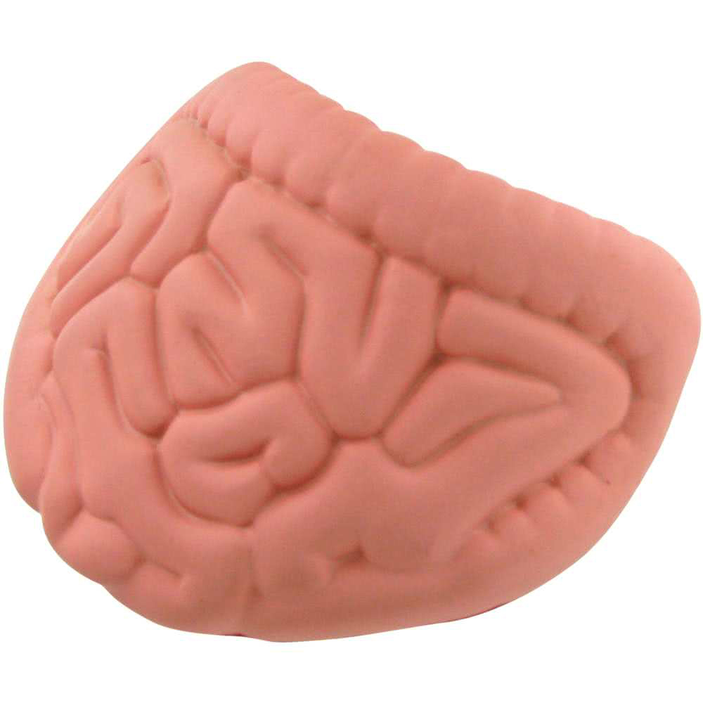 Intestines Shape Stress Reliever - Image 3