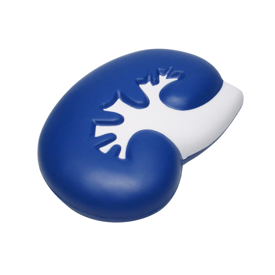 Large Kidney Shape Stress Reliever - Image 4