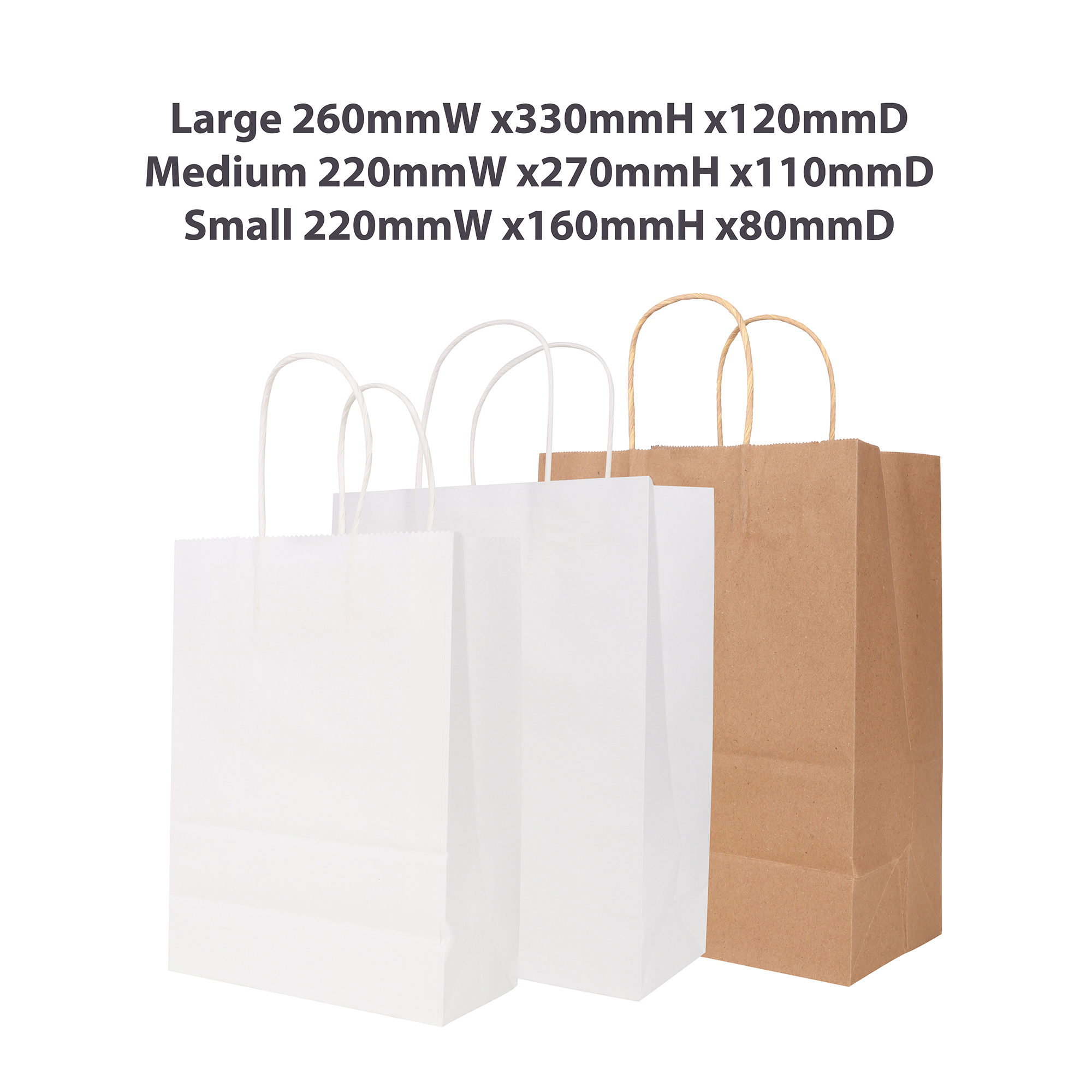 Twisted Handle Kraft Paper Bag(220x270x110mm) - Image 5
