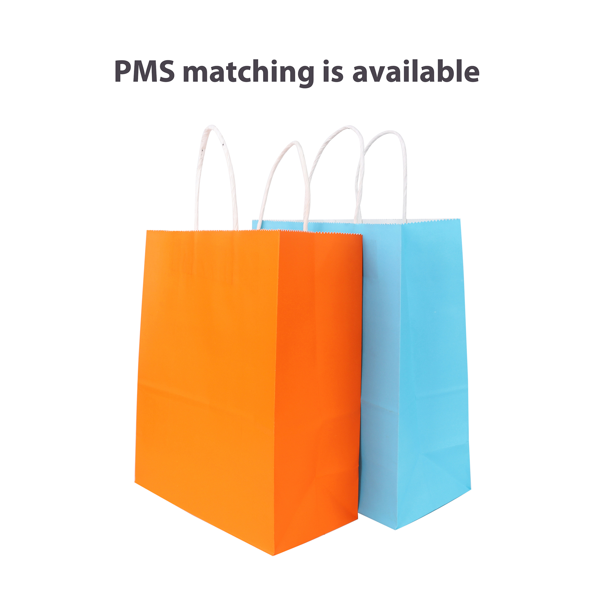 Twisted Handle Kraft Paper Bag(220x270x110mm) - Image 2