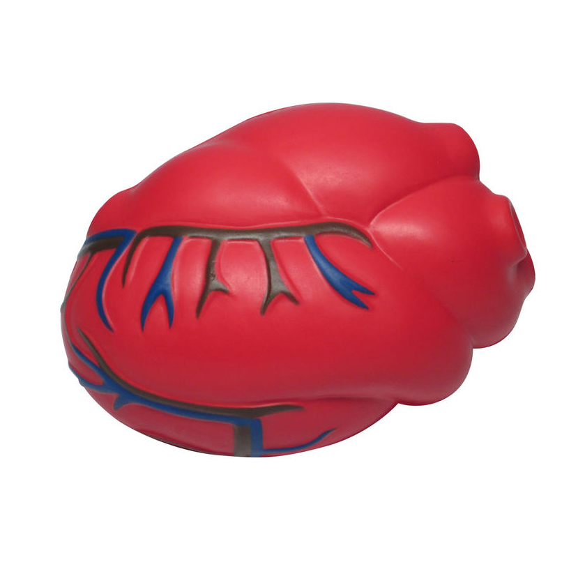 Cardiac Shape Stress Reliever - Image 9