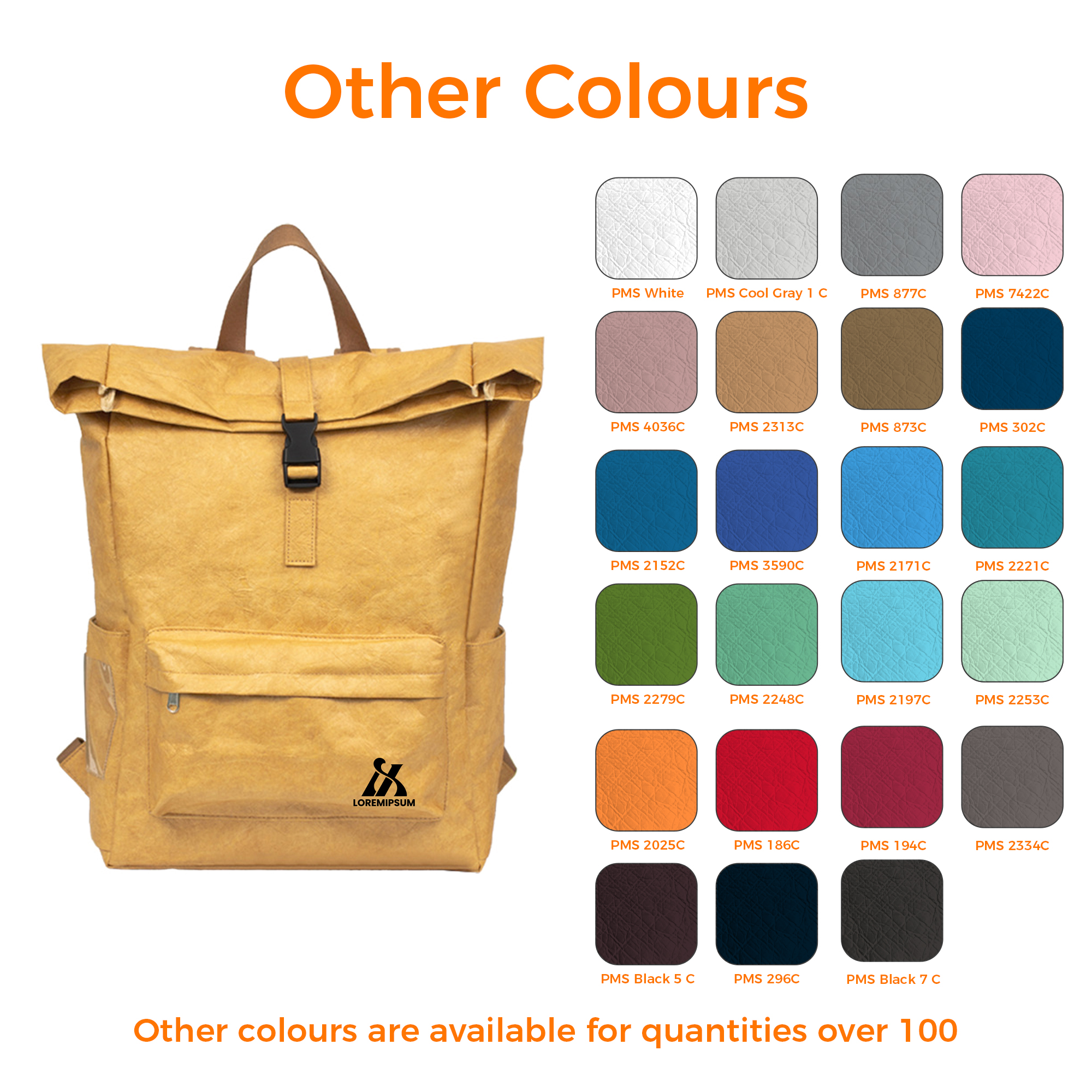 Tyvek Roll Top Backpack - Image 4