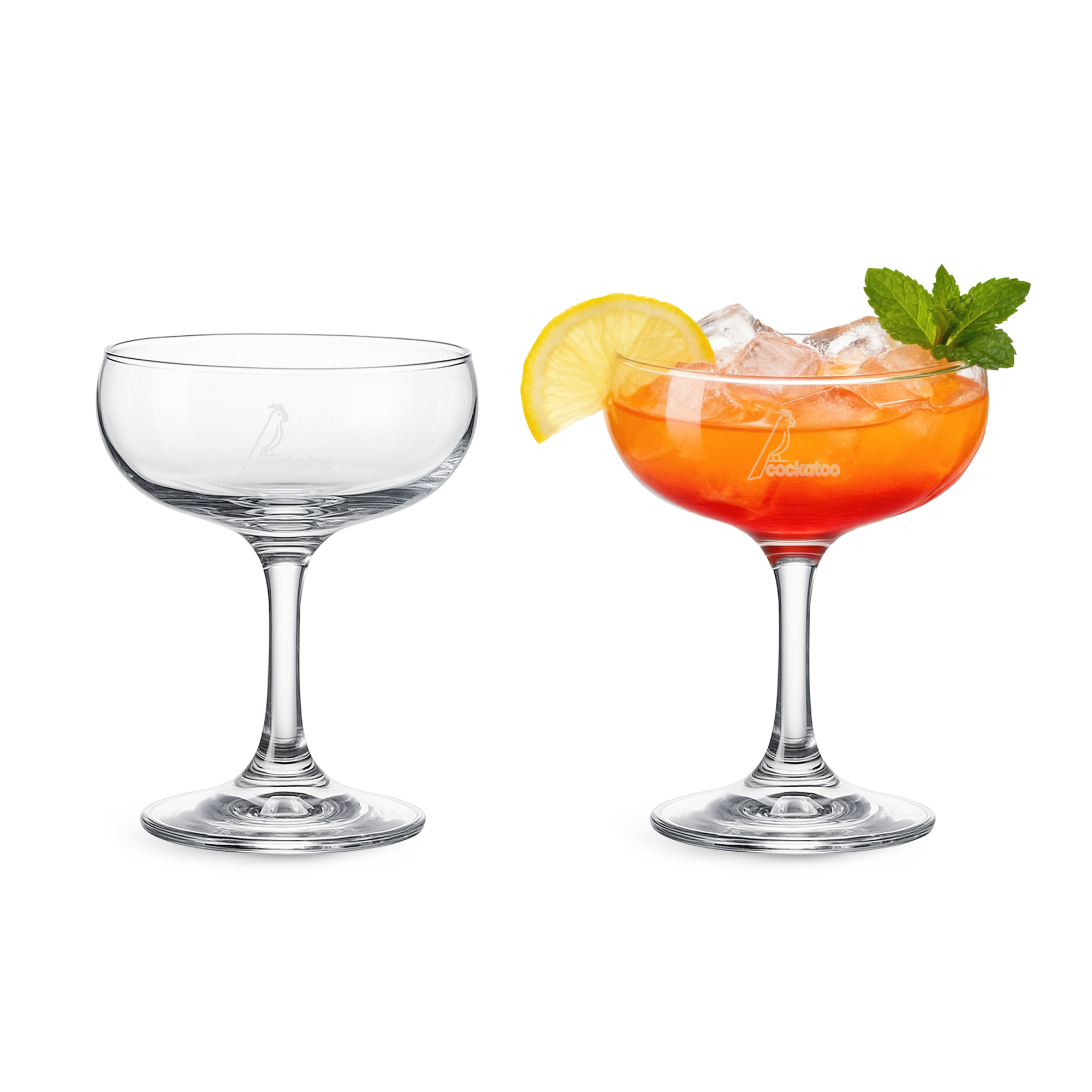 Martini Coupe Glass