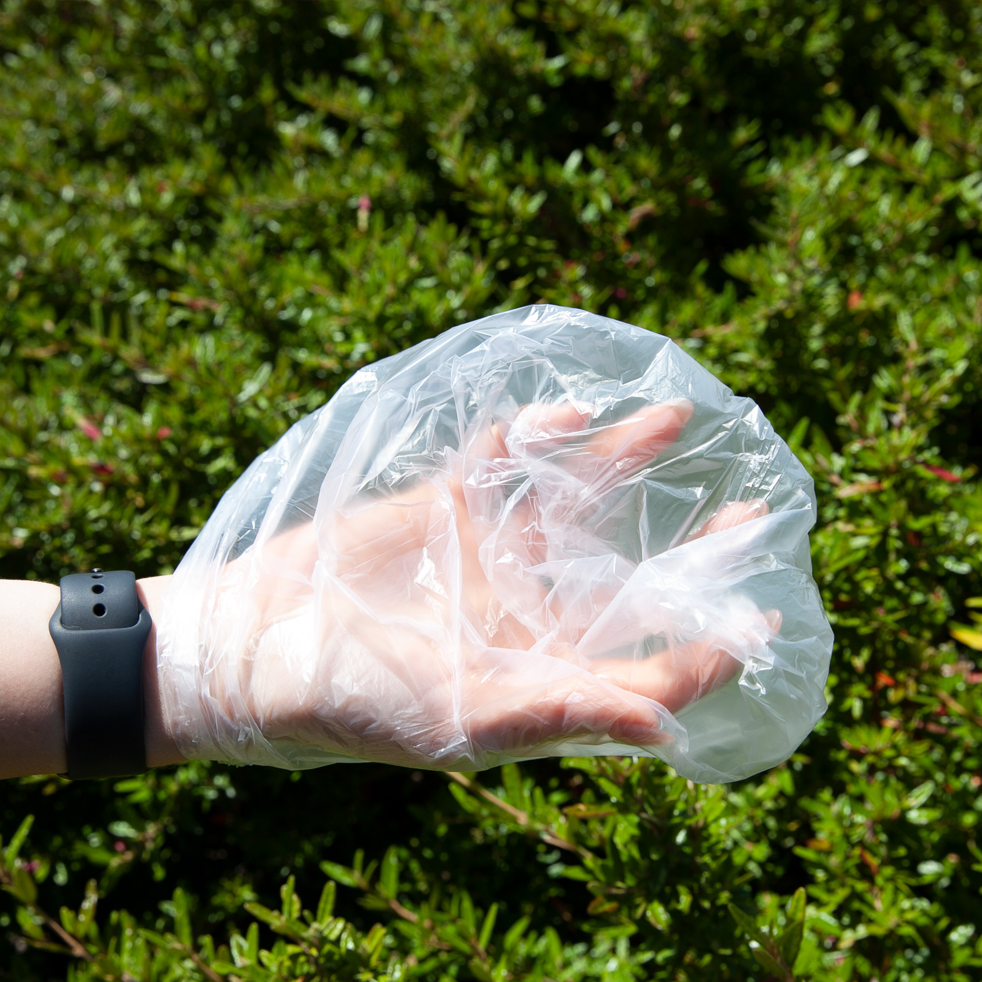 Pet Bag Dispenser - Image 3