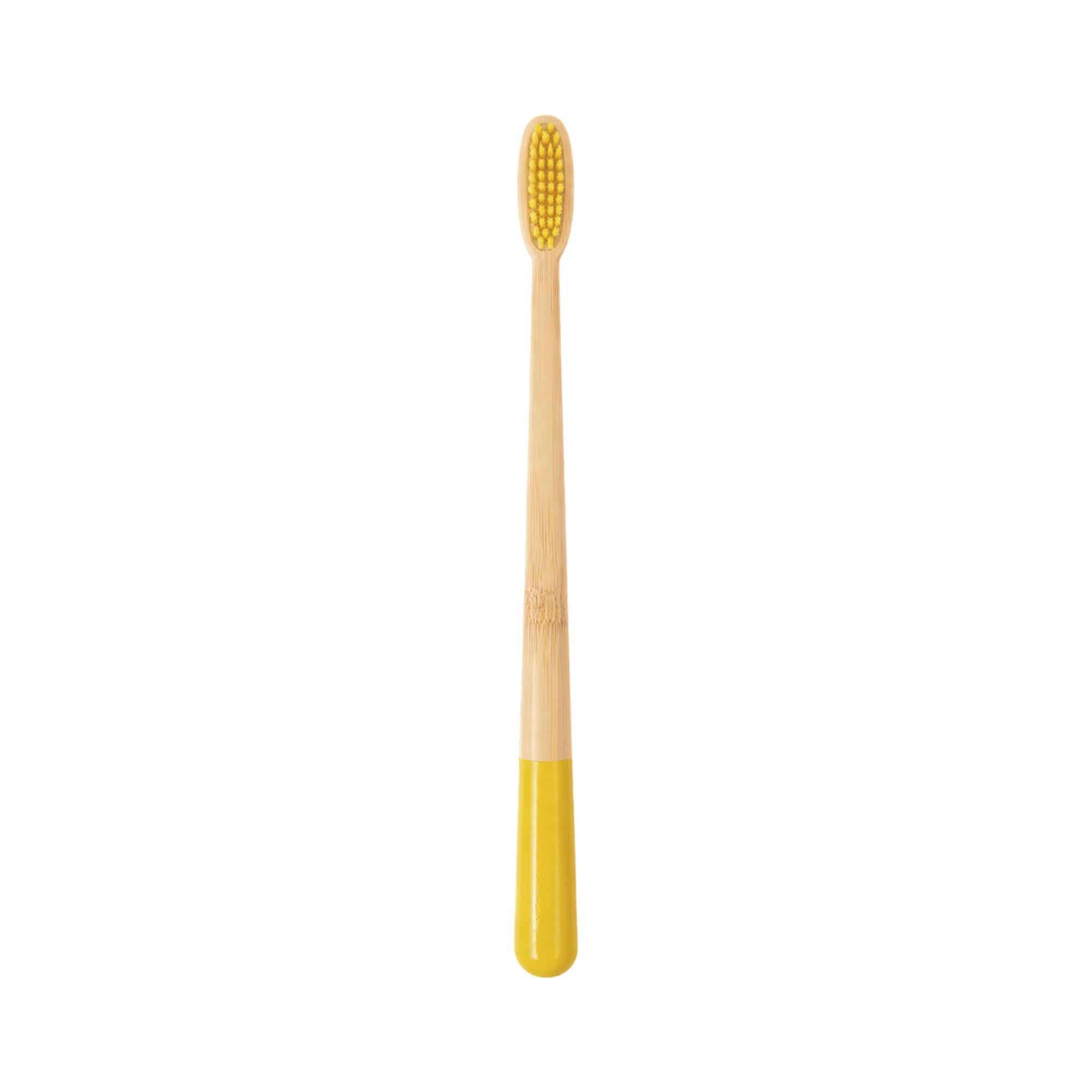 Large Conical Handle Colorful Toothbrush - Image 4