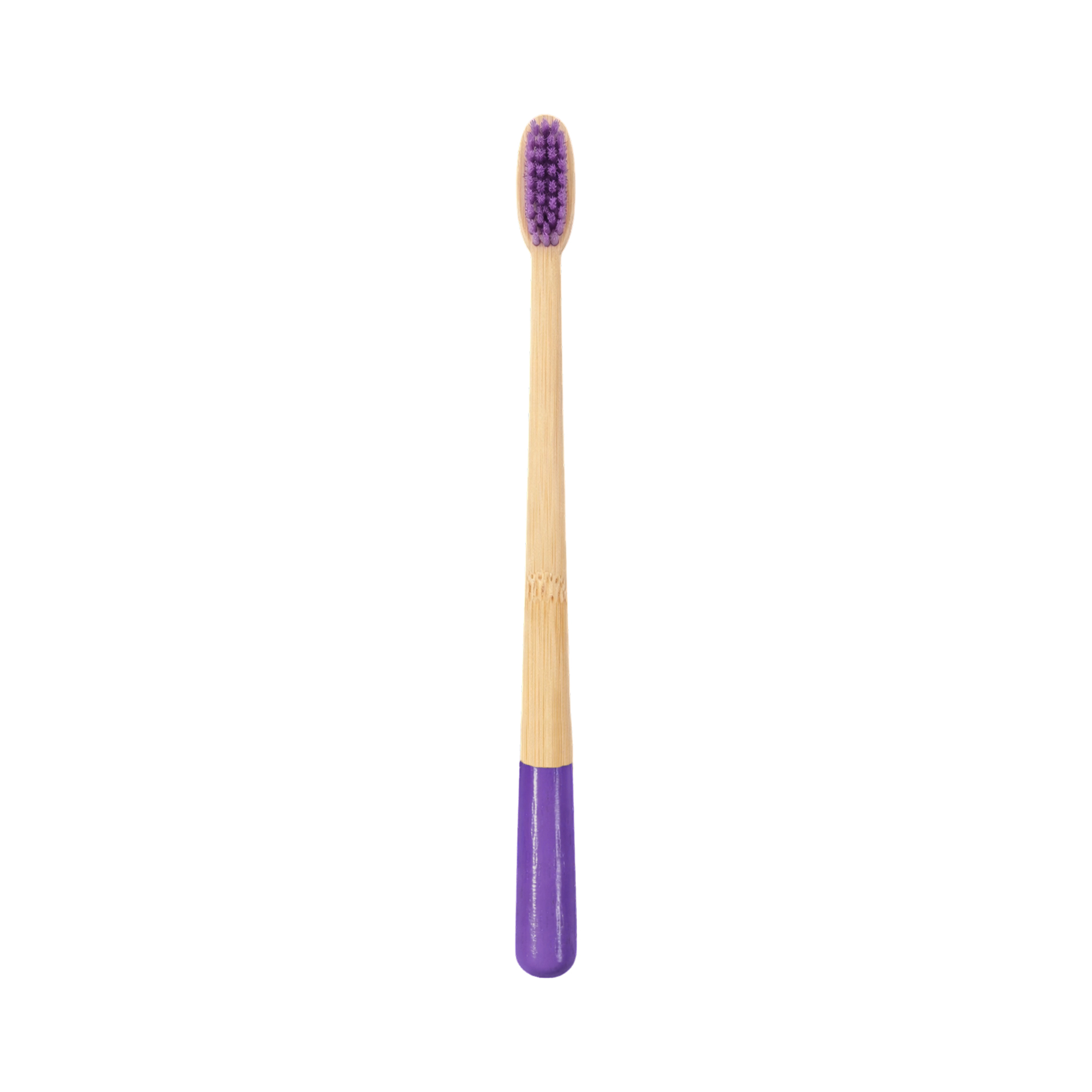 Large Conical Handle Colorful Toothbrush - Image 6