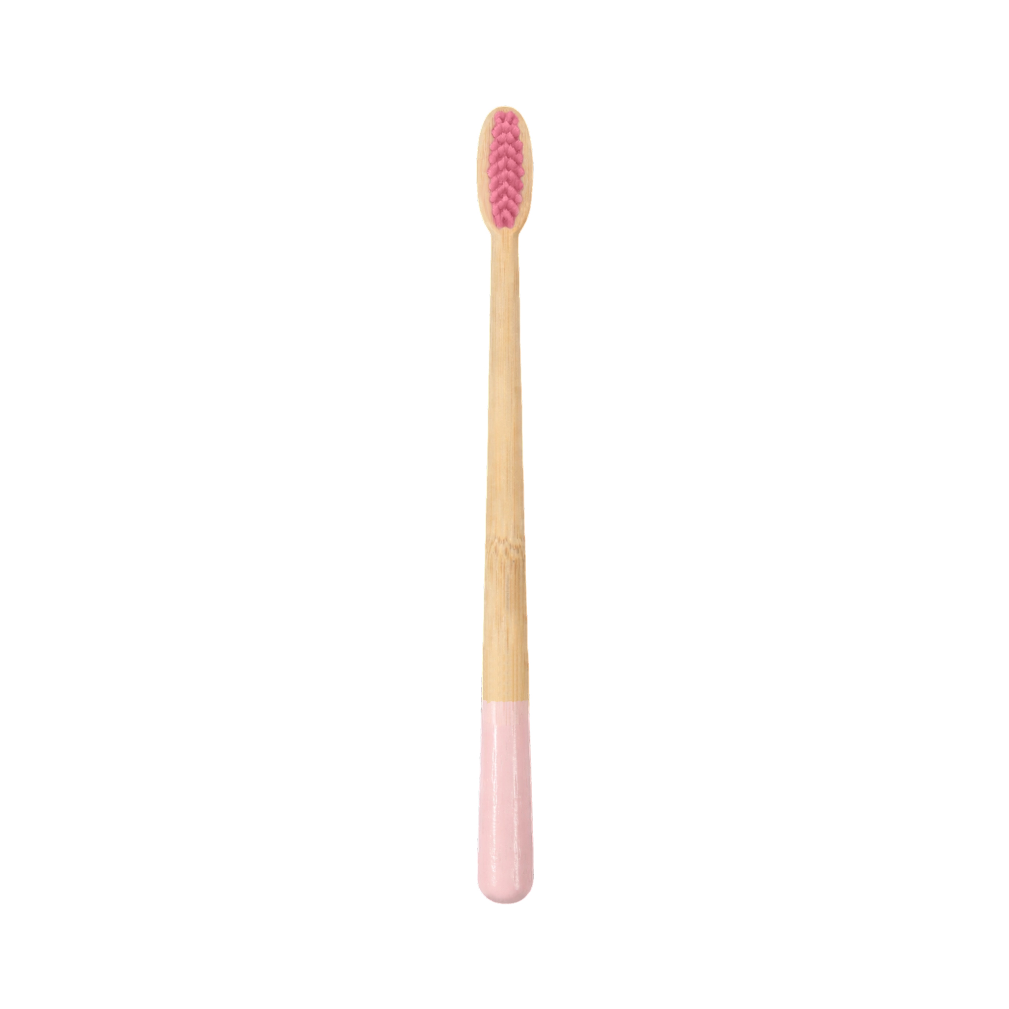Large Conical Handle Colorful Toothbrush - Image 2