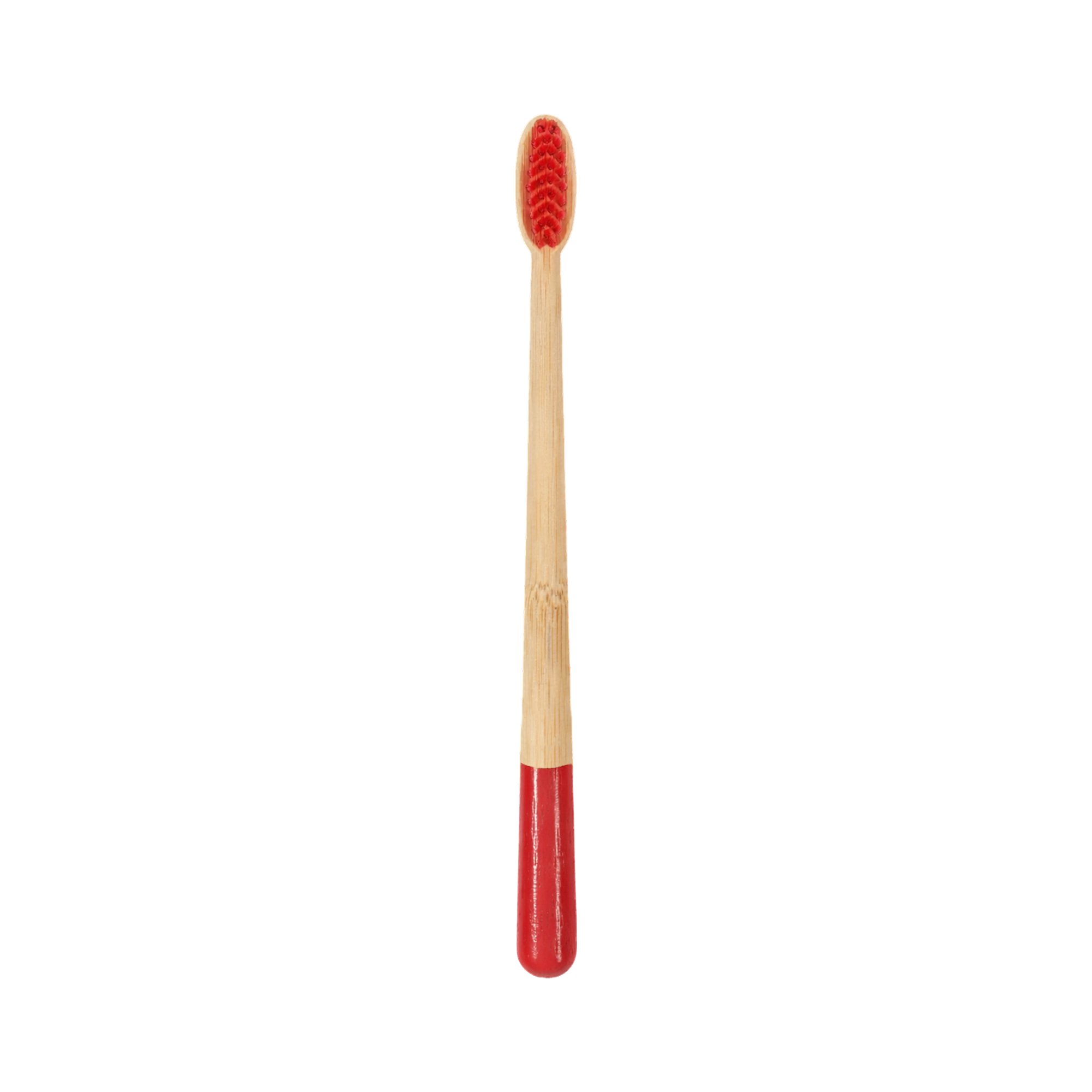 Large Conical Handle Colorful Toothbrush - Image 3
