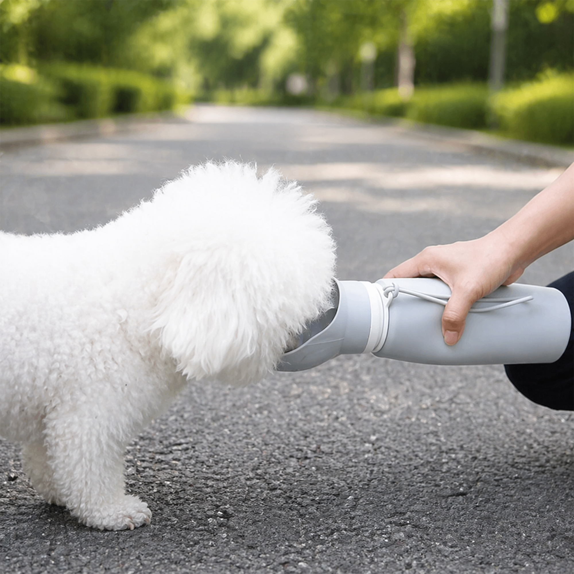 550ml Paw Bowl Collapsible Dog Water Bottle - Image 12