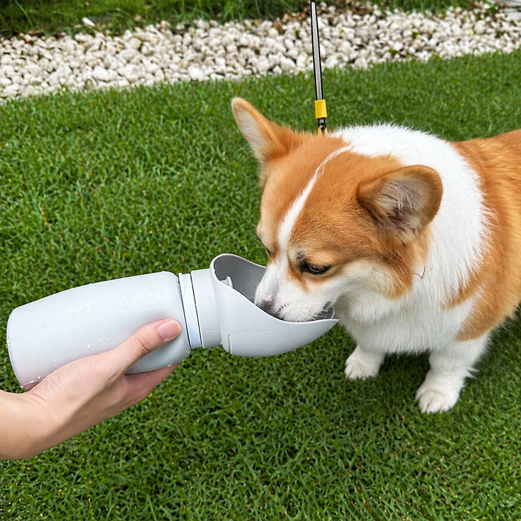 550ml Leaf Bowl Collapsible Dog Water Bottle - Image 12