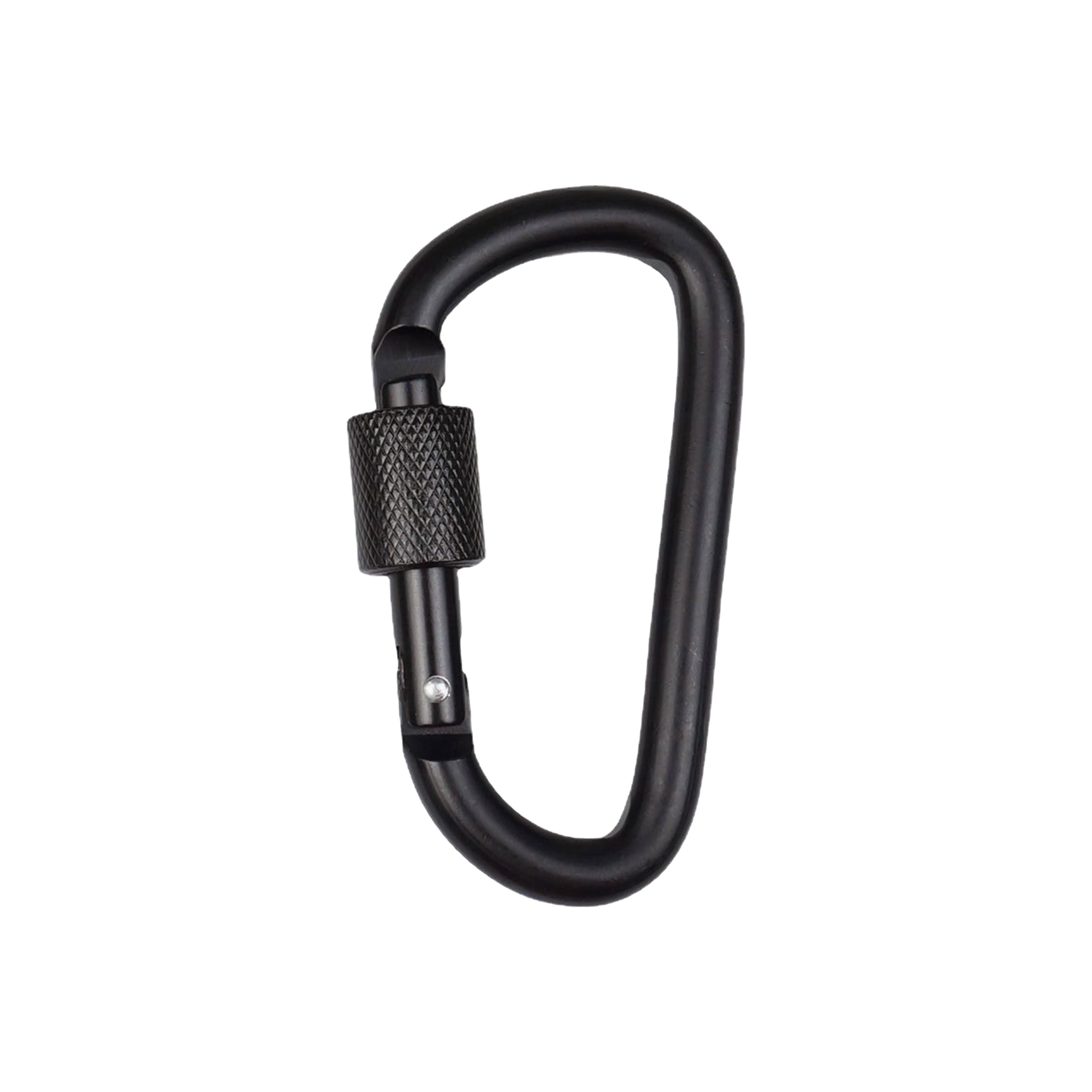 D-Shaped Screw Lock Keychain - Image 2