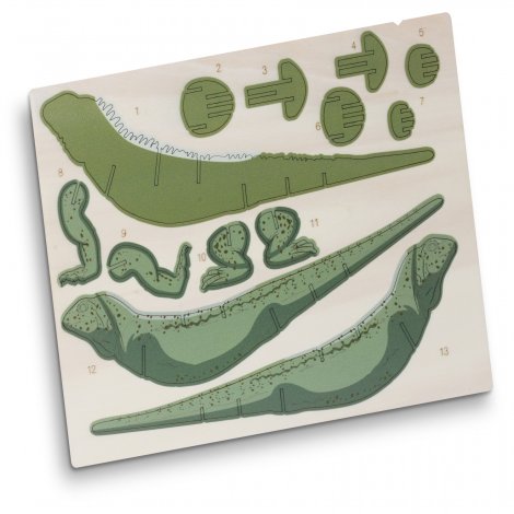 BRANDCRAFT Tuatara Wooden Model - Image 3
