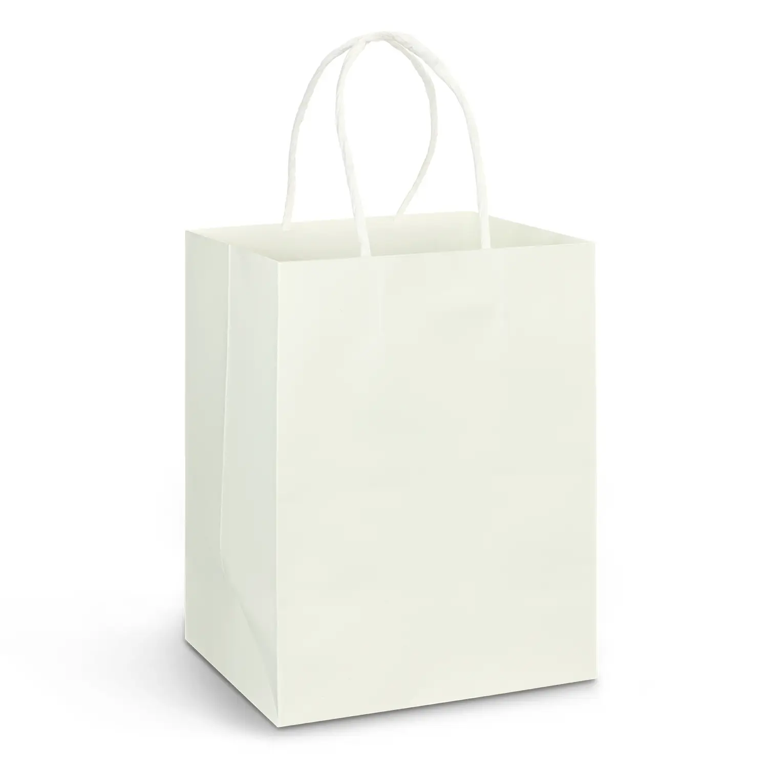 Large Paper Carry Bag - Full Colour - Image 2