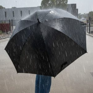 York Umbrella
